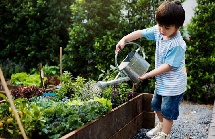 Garden help Declining Memory